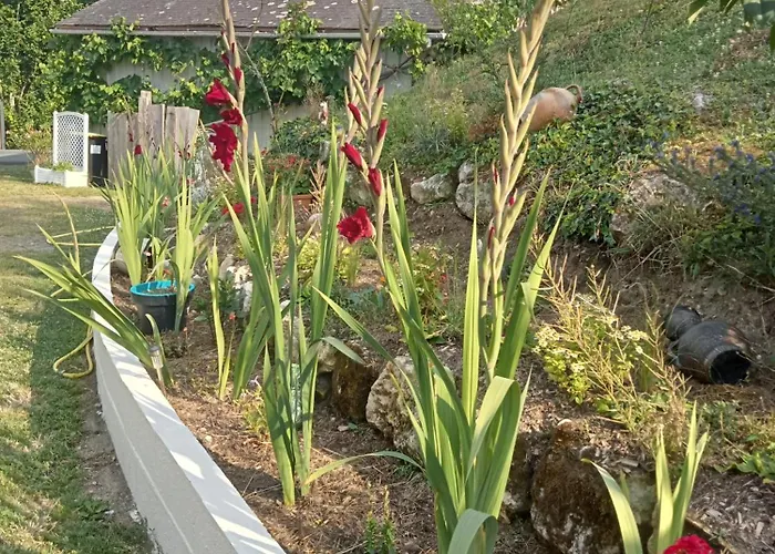 Restaurant De La Gare * La Roche-Posay